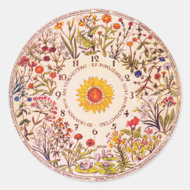 Blumenzimmergarten Runder Aufkleber (Vorderseite)