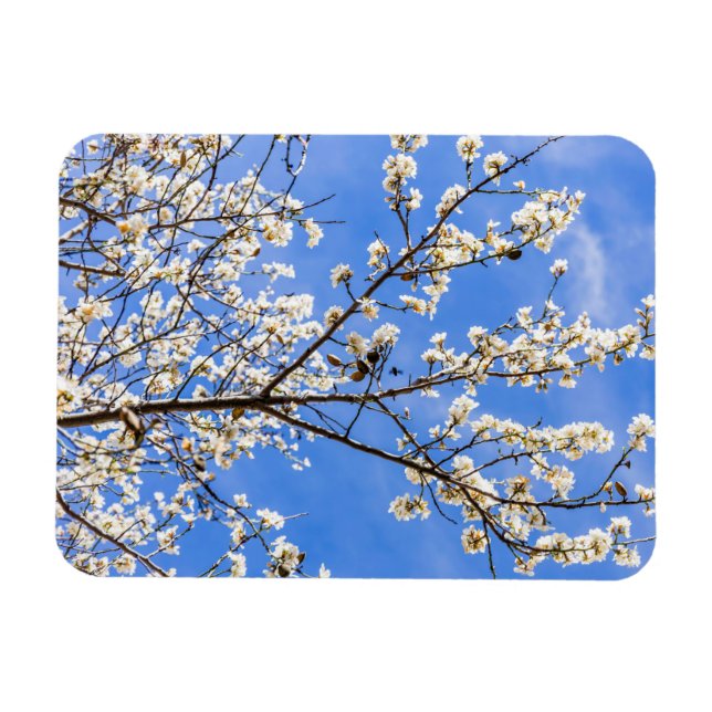 Blumenzweig Magnet (Horizontal)