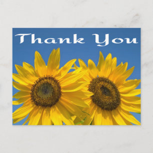 Blumige Dankeschön-Gelbe Sonnenblume & Blauer Himm Postkarte