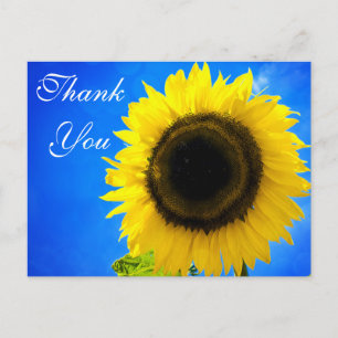 Blumige Dankeschön Gelbe Sonnenblume Blume Postkarte