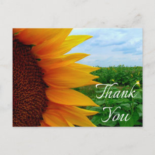 Blumige Dankeschön-Sonnenblumen-Gelb-Blumen-Grün Postkarte