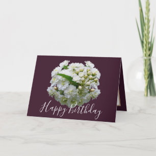 Blumiges Chic Bouquet Weiße Spirea Blumen Geburtst Karte