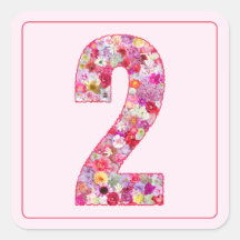 Blumiges Farbige Rosa Monat Nummer 2