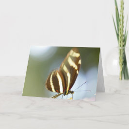 "Blurred Butterfly."Grußkarte Karte