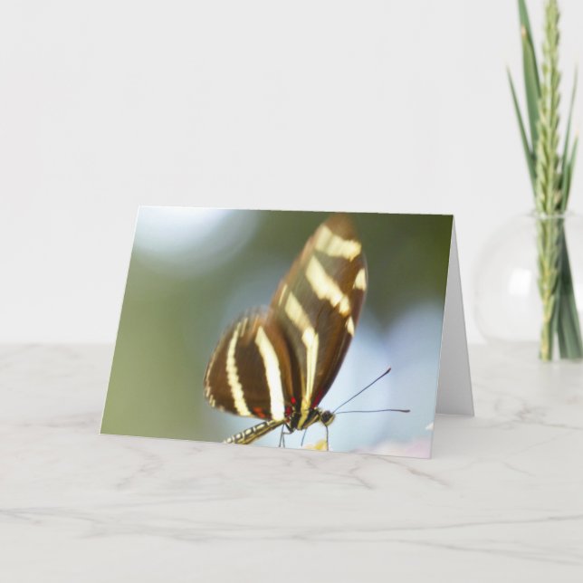 "Blurred Butterfly."Grußkarte Karte (Vorderseite)