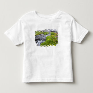 Blurry Fluss mit gelben weißen rosa Wildblumen Kleinkind T-shirt