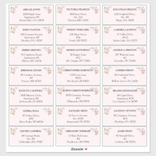 Blush Floral Pink Hochzeitsgast-Adressetiketten Aufkleber