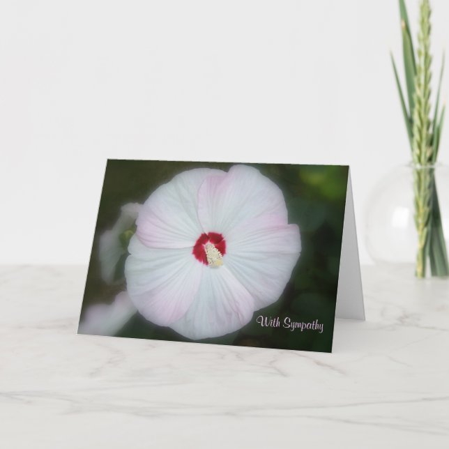 Blush Hibiscus Card Karte (Vorderseite)