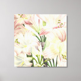 Blush Lilies Leinwanddruck