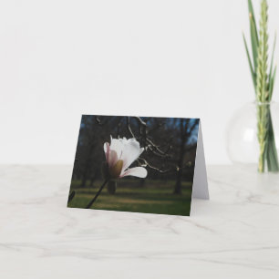 Blush Magnolia Blüten Feinkunst Notizkarten – Eleg Dankeskarte