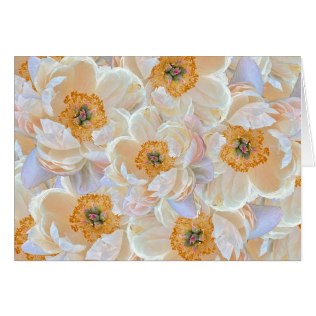 Blush Peony Card (Vorderseite (Horizontal))