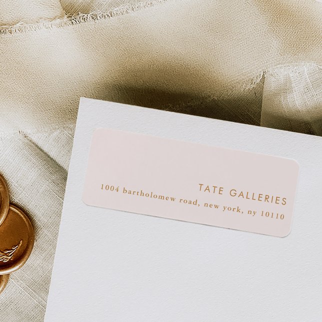 Blush Pink Chic Moderne Minimalistische Rücksendea (Blush pink chic modern minimalist return address labels.)