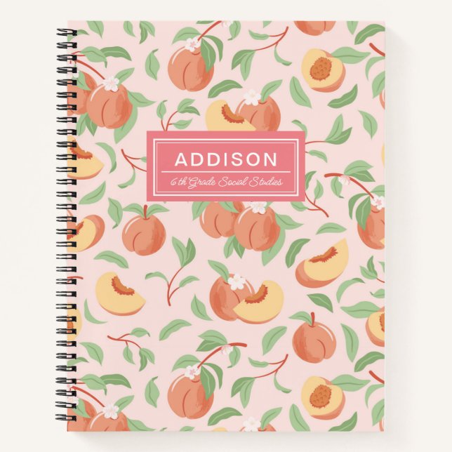 Blush Pink Peach Spiral Notebook Notizbuch (Vorderseite)