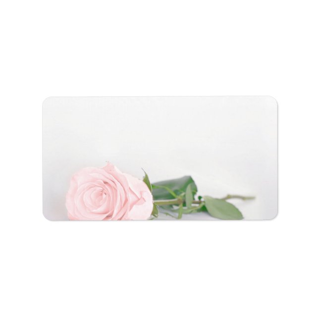 Blush Pink Rose Blank DIY Print Wedeladresse Adressaufkleber (Vorne)