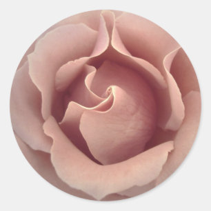 BLUSH PINK Rose - Hochzeitsfeier Umschlag Aufklebe Runder Aufkleber