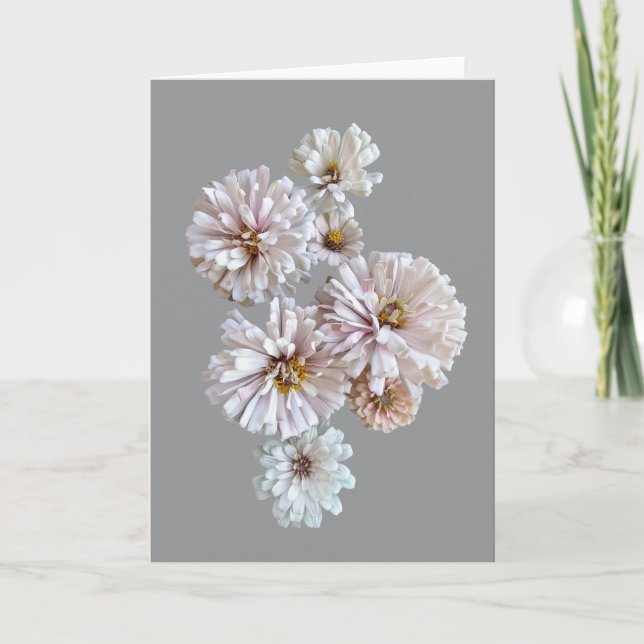 Blush Zinnia Folded Greeting Card Karte (Vorderseite)