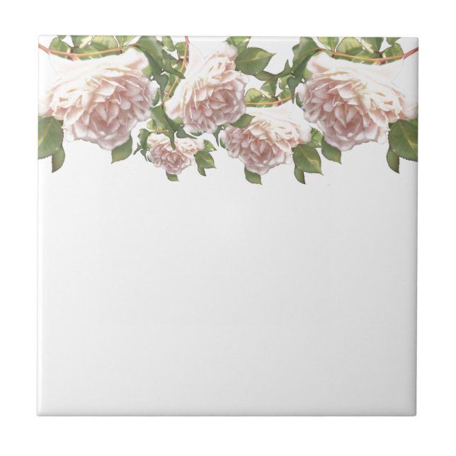 Blushing Ivory Peach Rose Fliese (Vorderseite)