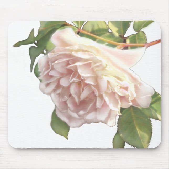 Blushing Ivory Peach Rose Mousepad (Vorne)