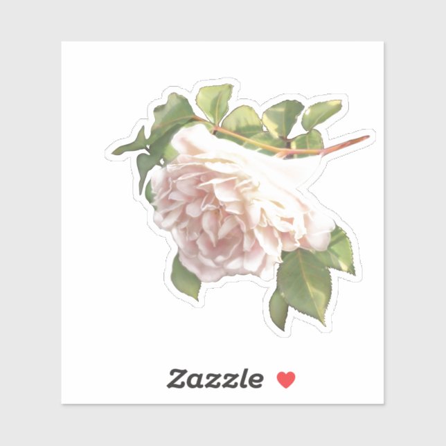 Blushing Ivory Pink Peach Rose Aufkleber (Blatt)