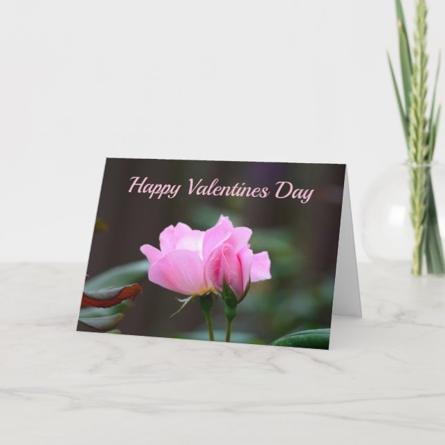 Blushing Knock Out Rose Valentines Carte de jour (Devant)