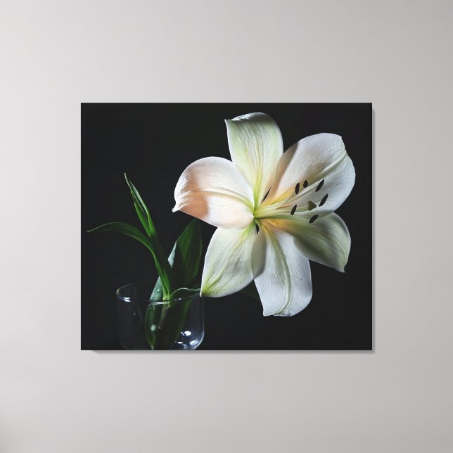 Blushing White Lilienummantelte Canvas Print Leinwanddruck (Vorderseite)