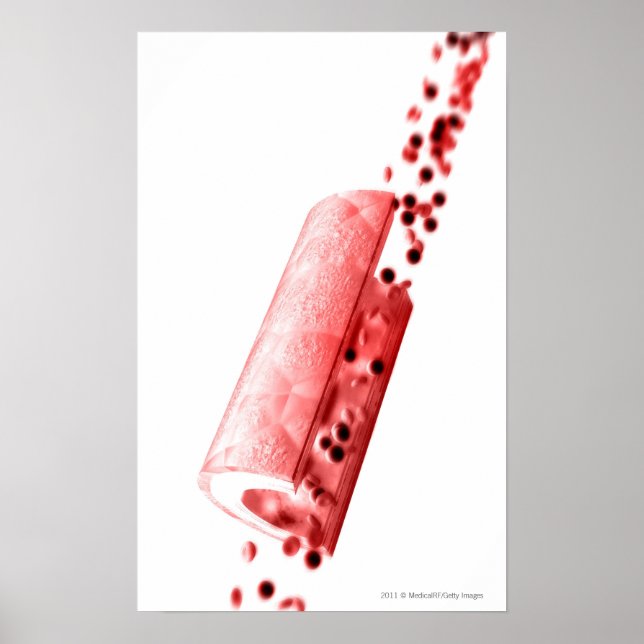 Blut, das durch eine Arterie fließt Poster (Vorne)