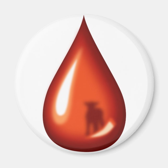 Blut des Lammes - Jesus Magnet (Vorne)