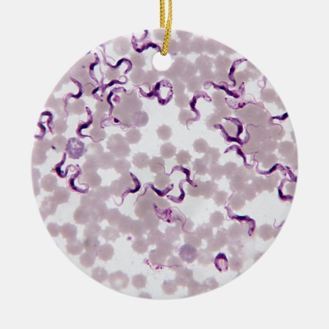 Blut-Parasit Trypanosoma Keramikornament (Vorne)
