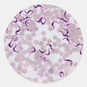 Blut-Parasit Trypanosoma Runder Aufkleber