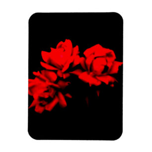 Blut-Rosen in der Dunkelheit Magnet