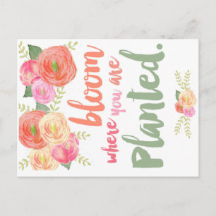 Blut, wo Sie gepflanzt werden Postkarte