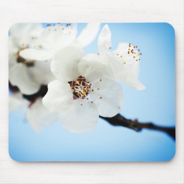 Blüte bewölkt Mousepad (Vorne)