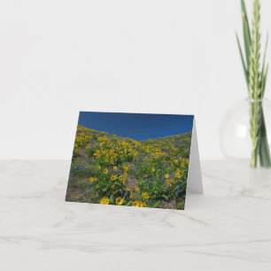 Blüte der Wüste Karte