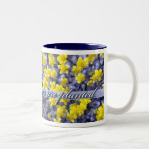 Blüte, in der Sie gepflanzt werden, gelbe Zweifarbige Tasse