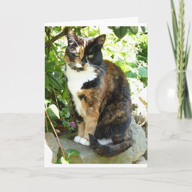 Blüte Karte (Vorderseite)