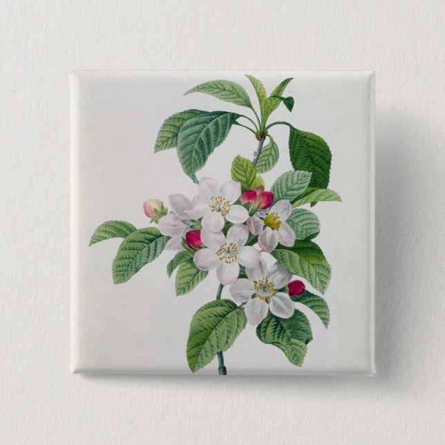 Blüte, von 'Les Choix DES plus Schönheiten Button (Vorderseite)