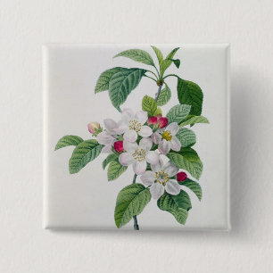Blüte, von 'Les Choix DES plus Schönheiten Button