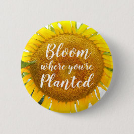 Blüte, wo man gelbe Sonnenblumen gepflanzt hat Button