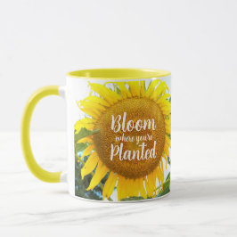 Blüte, wo man gelbe Sonnenblumen gepflanzt hat Tasse
