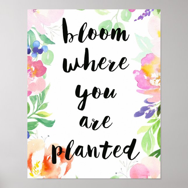Blüte, wo Sie gepflanzt Wasserfarbenflora Poster (Vorne)