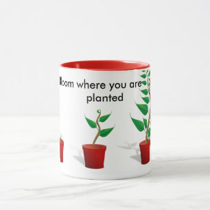 Blüte, wo Sie gepflanzte Tasse sind