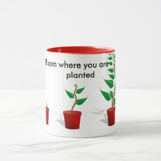 Blüte, wo Sie gepflanzte Tasse sind
