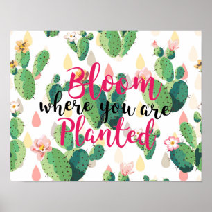 Blüte, wo Sie gepflanztes Kaktus-Druck-Plakat sind Poster