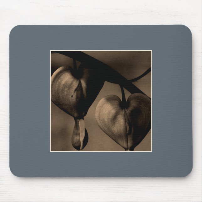 Blutegel-Foto Mousepad (Vorne)