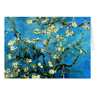 Blüten Anlass-Vans Vogh Almond