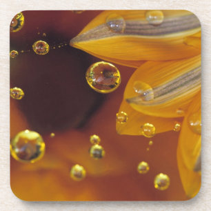 Blüten auf einer reflektierenden Mylar-Oberfläche Getränkeuntersetzer