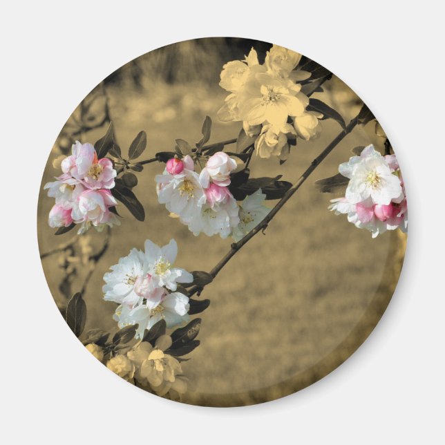 Blüten auf Sepia-Blumen-Magneten Magnet (Vorne)