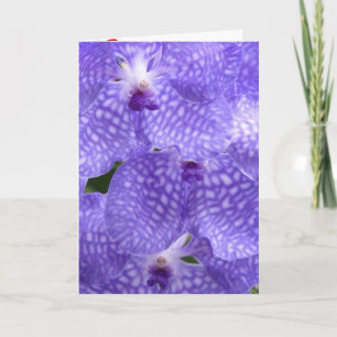 Blüten Blume Orchideen Frieden Liebe Schicksal Dankeskarte