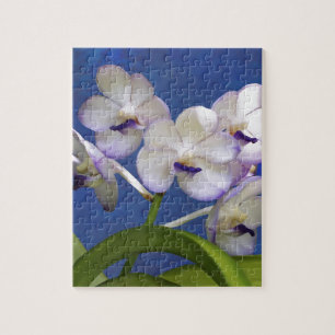 Blüten-BlumenPflanzen-bunte Fotografie-Kunst