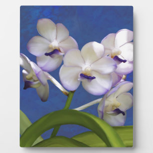 Blüten-BlumenPflanzen-bunte Fotografie-Kunst Fotoplatte